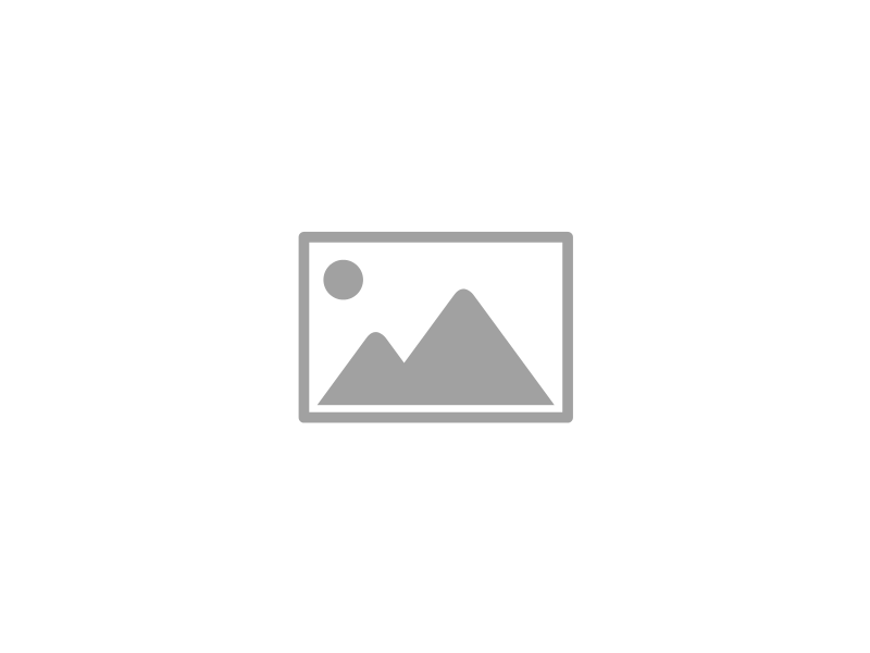 CVF - záznam semináře